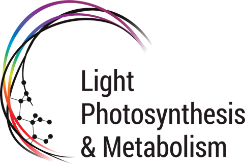 Energetic coupling between photosynthesis and respiration